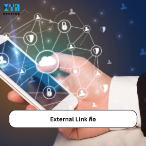 External Link คืออะไรเกี่ยวอะไรกับบริการรับทำ SEO