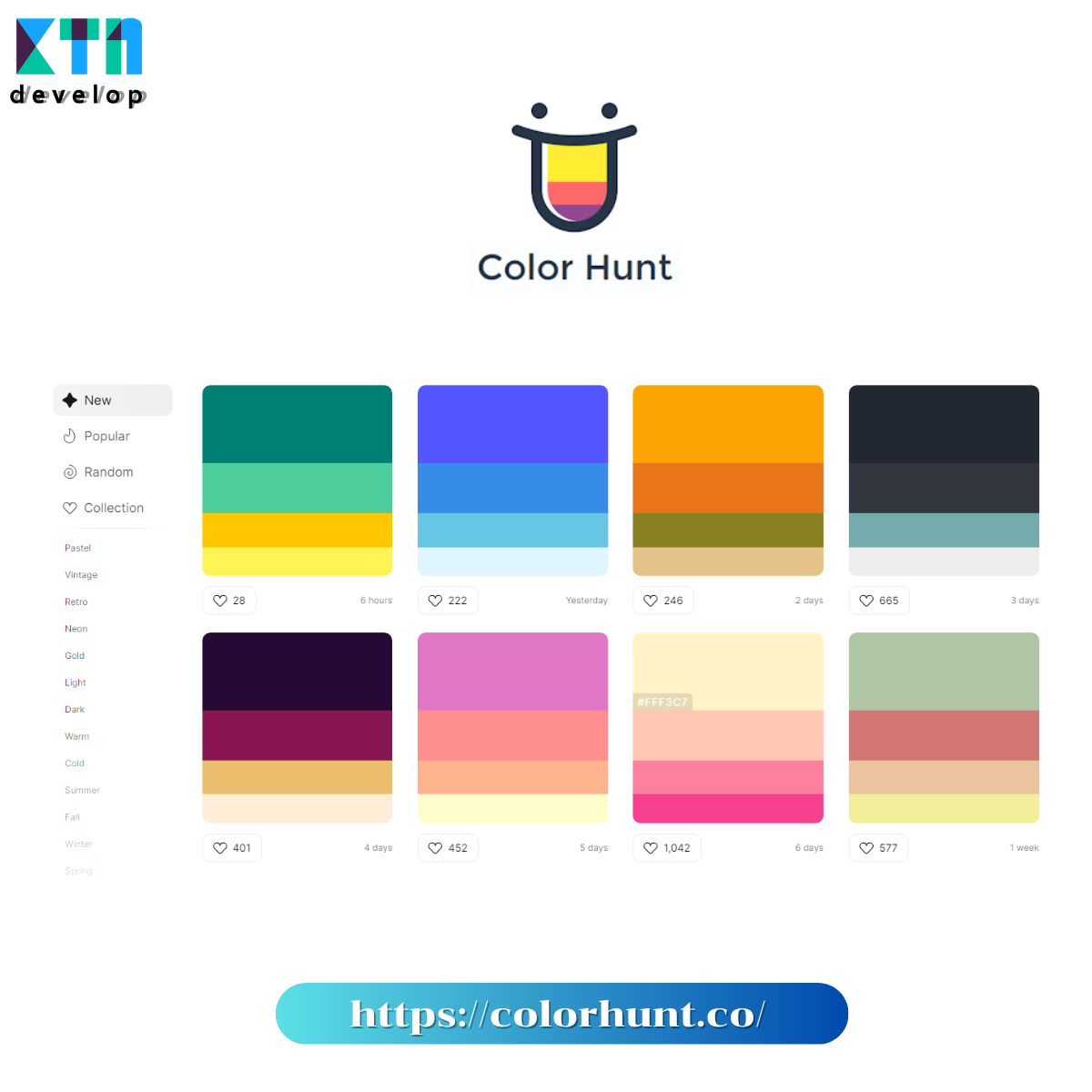 5 เว็บไซต์ ให้คุณเลือกใช้สีในการออกแบบเว็บไซต์แบบมืออาชีพ